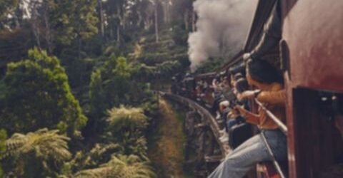 Victoria: Destinasi Liburan Keluarga Penuh Petualangan Tak Terlupakan!