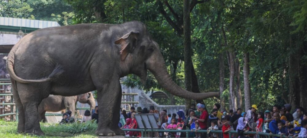 Rekomendasi Destinasi Wisata di Jakarta yang Menarik Dikunjungi saat Libur Sekolah