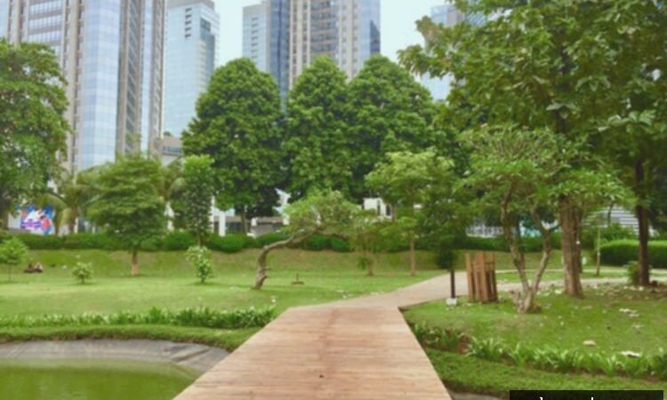 Hutan Kota GBK: 4 Aktivitas Seru, Piknik Gratis!