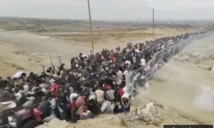 Kesaksian Pekerja Distribusi Bantuan Gaza: Tembak Saja, Tanya Belakangan