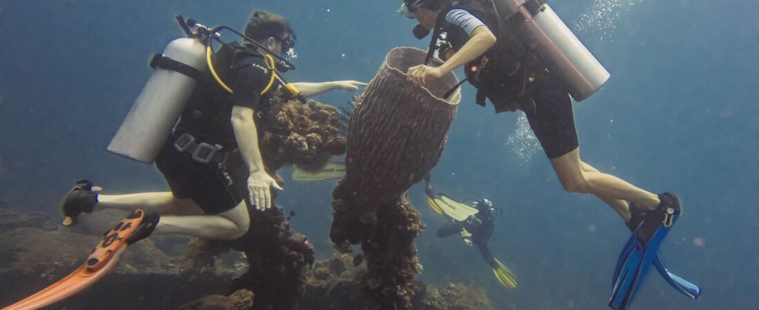 [Foto] Suguhan Spesial Bawah Air di Desa Wisata Tulamben, Bali
