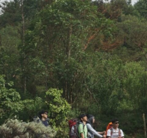Sumbing Memanggil: Mitos, Pengalaman, dan Tips Mendaki Terbaik!